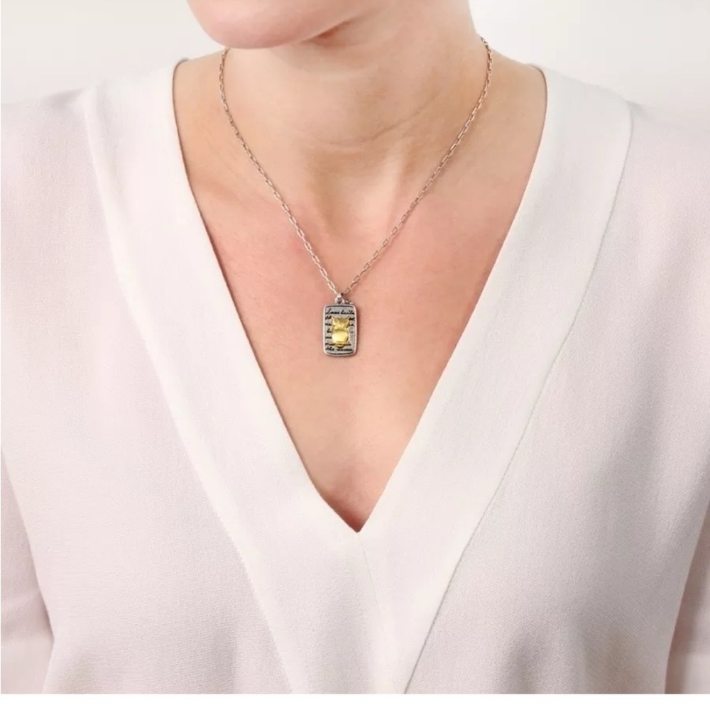 Brighton Nature’s Wisdom-Gold and Silver Owl Pendant Necklace - Picture 4 of 6